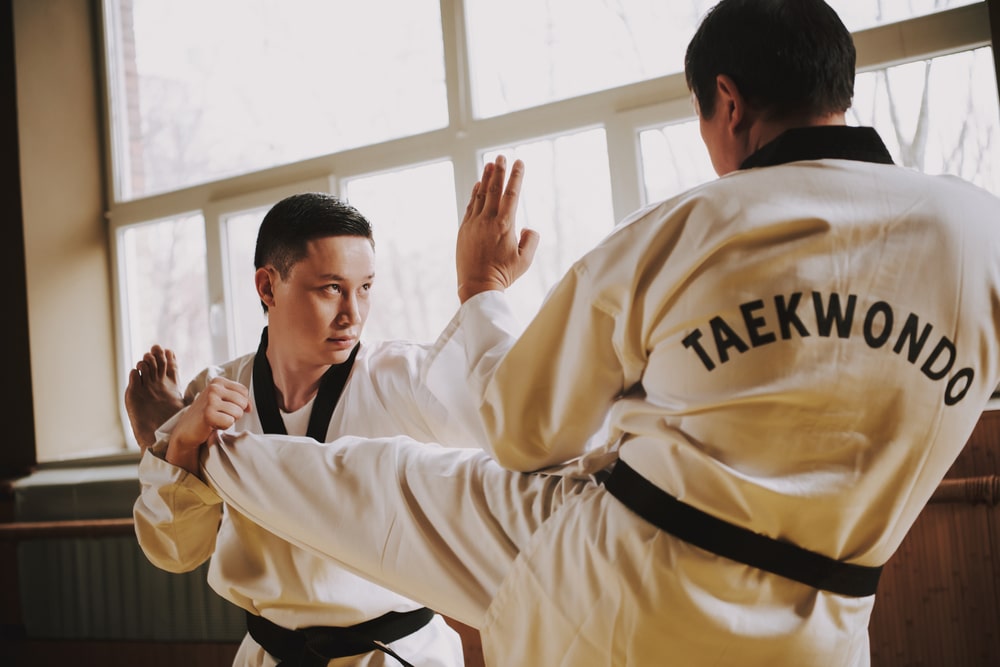 Materi Inti Dalam Latihan Taekwondo LEOPARDS TAEKWONDO CLUB